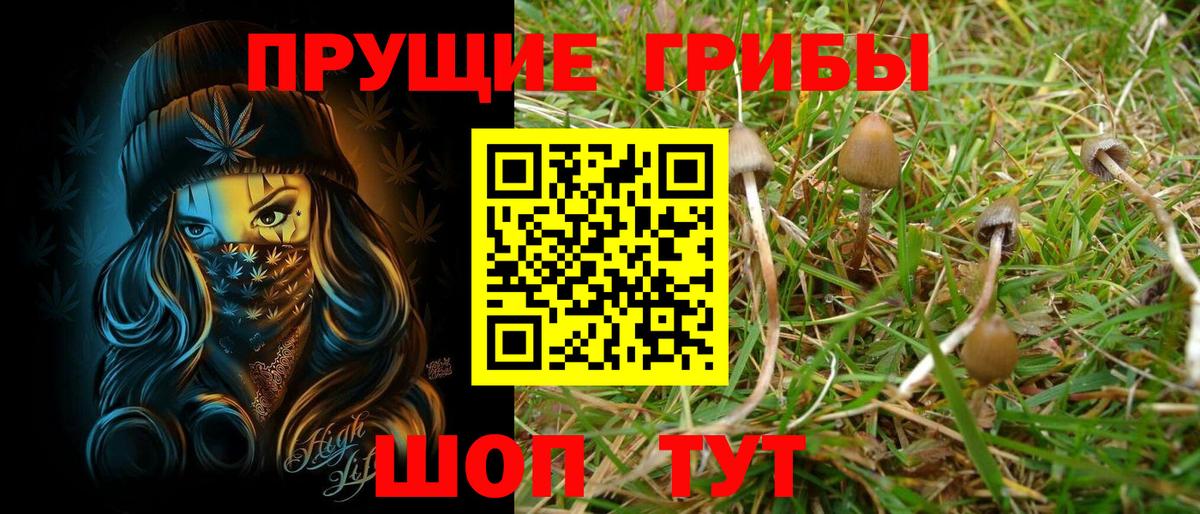 Галлюциногенные грибы мицелий  Вход с VPN  Галлюциногенные грибы мицелий  Волжский 